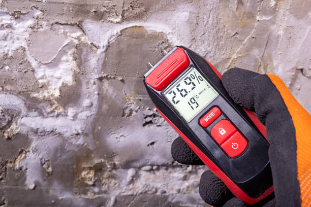 Best Black Mold Removal  in Gberts, IL
