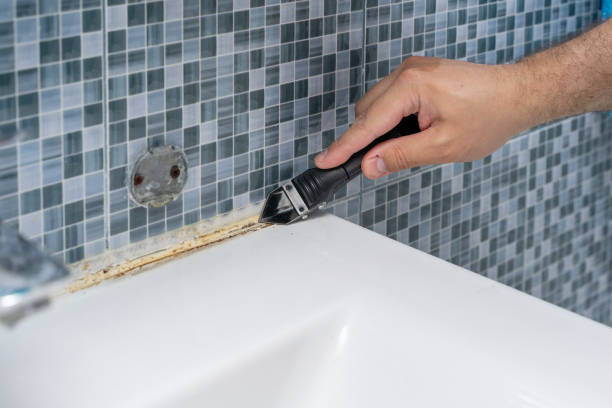 Reliable Gilberts, IL Mold Removal Solutions