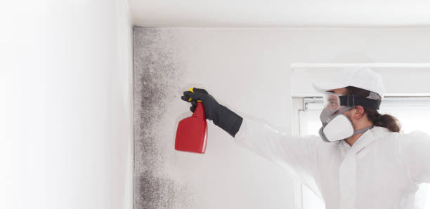 Best Mold Cleaning Services  in Gberts, IL